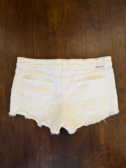 Billabong shorts (size 29)